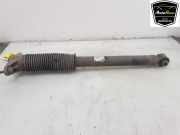 Stoßdämpfer Links Hinten 104446101E Tesla Model 3 Limousine Long Range Dual Motor (3D1) 2019