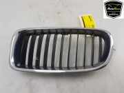 Grill 51137255411 BMW 3 serie (F30) Limousine 320i 1.6 16V EfficientDynamicsEdition (N13-B16A) 2013-09