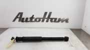Stoßdämpfer Links Hinten 8200368122 Renault Twingo II (CN) Schrägheck 3-drs 1.2 16V (D4F-770) 2011-01