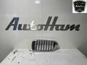 Grill 51137412421 BMW 6 serie Gran Turismo (G32) Schrägheck 620d 2.0 TwinPower Turbo 16V (B47-D20B) 2019