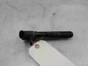 Stift Zündspule BAE403C Fiat 500 (312) Schrägheck 1.4 16V (169.A.3000) 2008-06