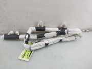 Dachairbag Links 9827991480 Peugeot 208 II (UB/UH/UP) Schrägheck 5-drs 1.2 Hybrid 100 (EB2LTEDH2(HPX)) 2024-06