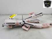 Dachairbag Links 100526100E Tesla Model S Liftback P100D (L2S) 2020