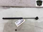 Gasdruckfeder Links Vorne 13395287 Opel Zafira Tourer (P12) Gro?raumlimousine 1.4 Turbo 16V EcoFLEX (B14NET(Euro 6)) 2018-03