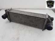 Ladeluftkühler 4999282 Ford Transit Connect Van 1.8 Tddi (P7PB) 2011-08