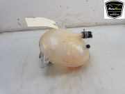 Ausgleichbehälter HGN118A080AA Ford Puma SUV 1.0 Ti-VCT EcoBoost 12V (B7JA) 2021-02