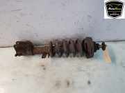 Stoßdämpfer Links Vorne 8200212633 Renault Trafic New (FL) Van 1.9 dCi 82 16V (F9Qt-762) 2002-06