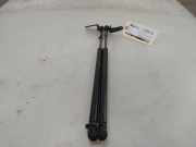 Gasdruckfeder Set Vorne 6006603 Tesla Model S Liftback 85 (L1S) 2014-03