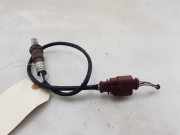 Lambdasonde 04E906262GF Volkswagen Golf VIII (CD1) Schrägheck 1.0 TSI 12V (DLAA) 2021-03 DLAA