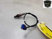 Lambdasonde LX619G444BB Ford Kuga III (DFK) SUV 2.5 PHEV 16V (BGDA) 2022-01