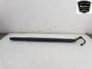 Gasdruckfeder Links Hinten 5E6827851C Skoda Octavia (NXAA) Liftback 1.0 TSI e-TEC 12V (DLAA) 2021-11
