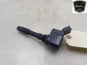 Stift Zündspule 06H905110F Cupra Formentor SUV 2.0 TSI 16V 4Drive (DNFB) 2021 DNFB