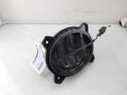 Subwoofer L1TT19A067AC Ford Puma SUV 1.0 Ti-VCT EcoBoost 12V (B7JA) 2021-06