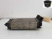 Ladeluftkühler 0384N9 Peugeot Partner (GC/GF/GG/GJ/GK) Van 1.6 HDI 90 (DV6DTED(9HF)) 2014-08