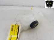 Ausgleichbehälter 31686041 Volvo V60 II (ZW) Kombi 2.0 T6 16V Twin Engine (B4204T46) 2021-01