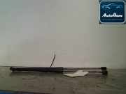 Gasdruckfedern Set Hinten 8P4827552B Audi A3 Sportback (8PA) Schrägheck 5-drs 1.9 TDI (BKC) 2004