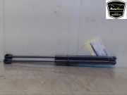 Gasdruckfedern Set Hinten 8731G3 Citroën C3 (FC/FL/FT) Schrägheck 5-drs 1.4 (TU3JP(KFV)) 2004
