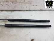 Gasdruckfedern Set Hinten 5H6827550D Volkswagen Golf VIII (CD1) Schrägheck 2.0 TSI R 16V 4Motion (DSFF) 2021-06 DSFF
