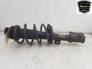 Stoßdämpfer Links Vorne 54603C8010 Hyundai i20 (GBB) Schrägheck 1.0 T-GDI 100 12V (G3LC) 2016