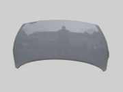 Motorhaube Haube grau HYUNDAI I10 (IA) 1.2 64 KW 66400B900