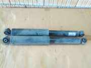 Stoßdämpfer hinten Satz FIAT DOBLO KASTEN/KOMBI (263_) 1.6 D MULTIJET 77 KW 315463