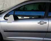 Tür links ZV EFH 3-Türer ERZ Aluminiumgrau PEUGEOT 207 (WA_, WC_) 1.4 54 KW 9002AN