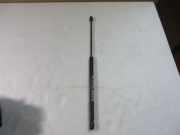 Gasfeder, Motorhaube SEAT LEON (1M1) 1.4 16V 55 KW 1M0823359A