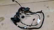 Kabelbaum Tür hinten links VW POLO (6R_) 1.2 TDI 55 KW 18646R4693C0C