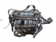 Motor komplett STJA FORD FIESTA VI CB1, CCN 1.25 44 KW STJA