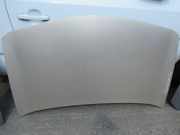 Motorhaube silber gold RENAULT MEGANE II (BM0/1_, CM0/1_) 1.4 16V 72 KW