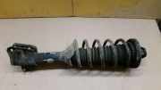 Federbein links hinten LAND ROVER FREELANDER (LN) 2.0 DI 72 KW RPB101650