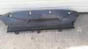 Windlauf Windabweiser vorn FORD TRANSIT CUSTOM BUS 2.0 TDCI 125 KW GK21-V001A06-AB