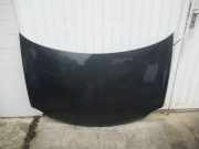 Motorhaube grau VW POLO (9N_) 1.4 TDI LIMOUSINE 55 KW