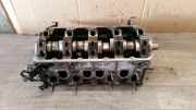 Zylinderkopf VW CADDY III KASTEN (2KA, 2KH, 2CA, 2CH) 1. 77 KW 038103373R