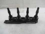 Zündspule FIAT PUNTO/GRANDE PUNTO (199) 1.2 48 KW 0040100342