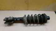 Federbein rechts hinten LAND ROVER FREELANDER (LN) 2.0 DI 72 KW