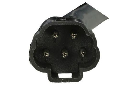 Außenspiegel Bild Außenspiegel