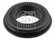 Wälzlager, Federbeinstützlager