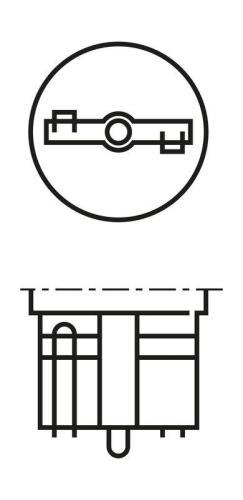 GLUEHLAMPE 12V / 5W (W5W) Bild GLUEHLAMPE 12V / 5W (W5W)