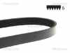 Keilrippenriemen TRISCAN 8640 600990