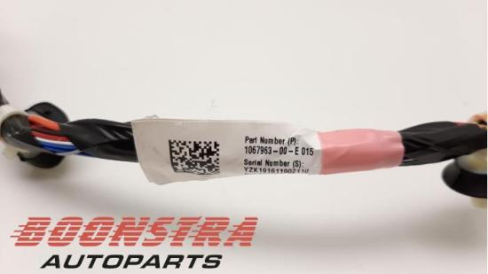 Kabelbaum Tesla Model 3 5YJ3 106796300E Bild Kabelbaum Tesla Model 3 5YJ3 106796300E