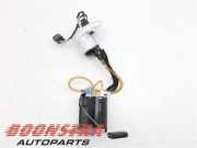 Kraftstoffpumpe Jaguar F-Type Cabriolet X152 CPLA9A300AA