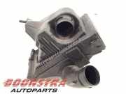 Luftfiltergehäuse Renault Clio III BR0/1, CR0/1 8200725603