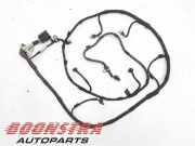 Kabelbaum Ferrari 458 Spider 261306