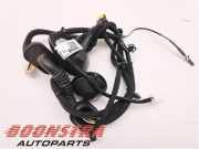 Kabelbaum Kia Niro I DE 91650G5191