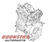 Motor ohne Anbauteile (Benzin) Land Rover Discovery Sport L550 LR146351
