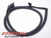 Türgummi rechts vorne Audi R8 4S 4S8831708