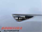 Blinker links Tesla Model S 5YJS 600770700C