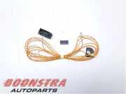 Kabelbaum BMW X3 G01, F97 61118796558