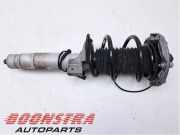 Federbein links vorne BMW 4er Cabriolet F33, F83 10541315